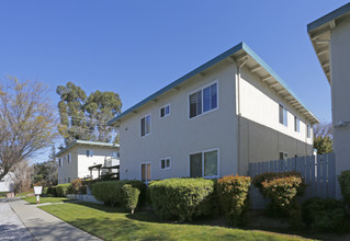 Pauline Apartments in San Jose, CA - Building Photo - Building Photo