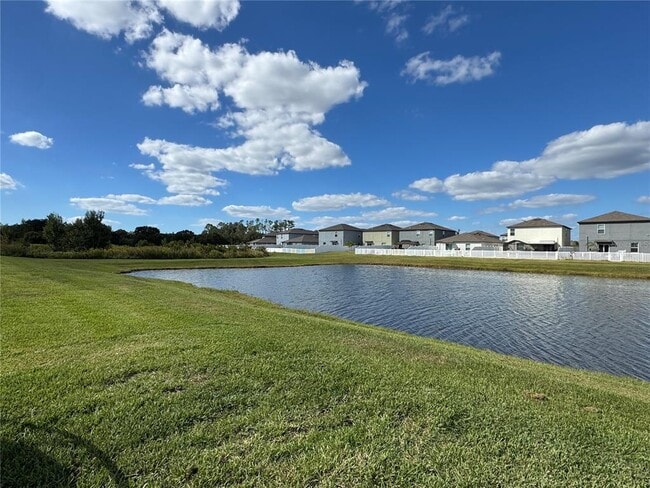 12734 Mangrove Forest Dr in Riverview, FL - Building Photo - Building Photo