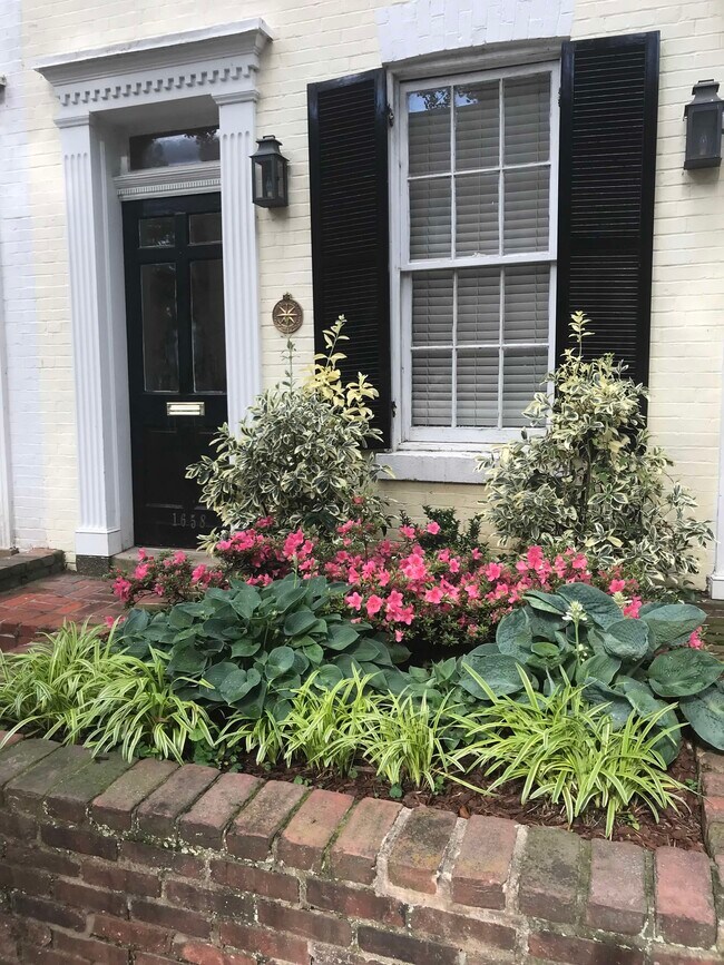 1658 Avon Pl NW in Washington, DC - Building Photo - Building Photo