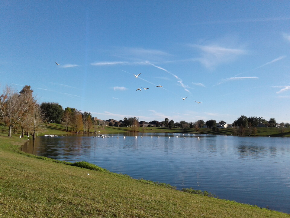 2408 Backwater Way in the Villages, FL - Building Photo