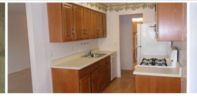 160 Devon Loop in Staten Island, NY - Building Photo - Building Photo