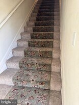 6520 Lake Park Dr in Greenbelt, MD - Building Photo