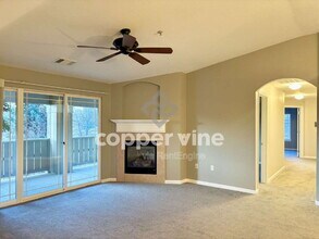 14167 Sun Blaze Loop in Broomfield, CO - Building Photo - Building Photo