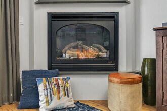450 S Pine St in Telluride, CO - Building Photo - Building Photo