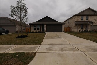 29034 Pearl Barley Wy in Hockley, TX - Building Photo - Building Photo