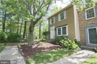 11556 Ivy Bush Ct in Reston, VA - Building Photo - Building Photo