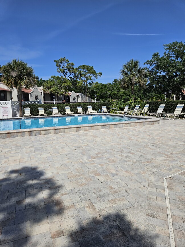 3505 Tarpon Woods Blvd, Unit Vanita in Palm Harbor, FL - Foto de edificio - Building Photo