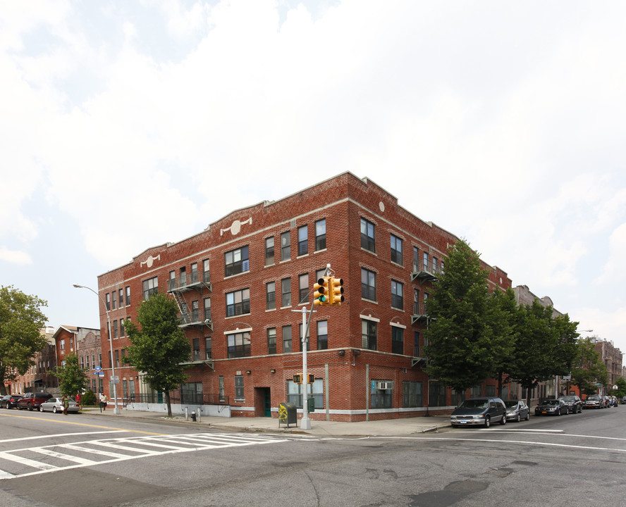 49 Riverdale Ave in Brooklyn, NY - Building Photo