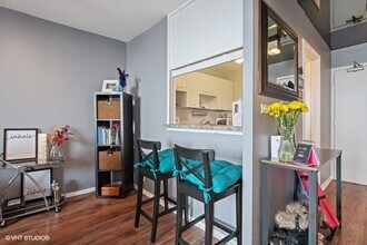 1355 N Sandburg Terrace in Chicago, IL - Building Photo - Building Photo