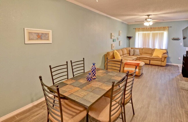 3101 Gulf Blvd in South Padre Island, TX - Building Photo - Building Photo