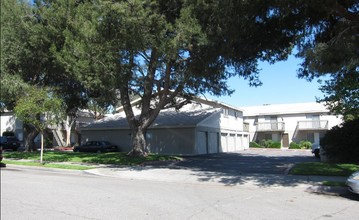 Laurel Avenue Townhomes in Ontario, CA - Building Photo - Building Photo