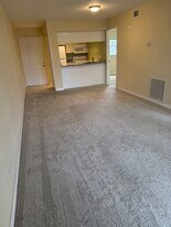 3802 N Oak Dr, Unit W11 in Tampa, FL - Building Photo