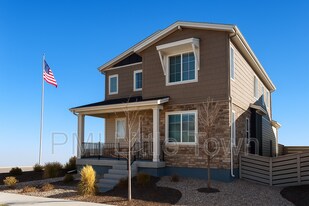 8734 Middle Frk St in Littleton, CO - Building Photo