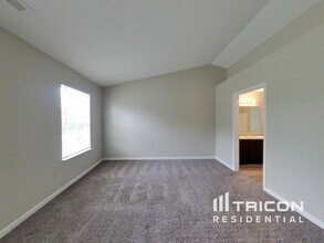 11147 Funny Cide Dr in Noblesville, IN - Building Photo - Building Photo