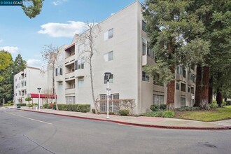 3173 Wayside Plaza in Walnut Creek, CA - Building Photo - Building Photo