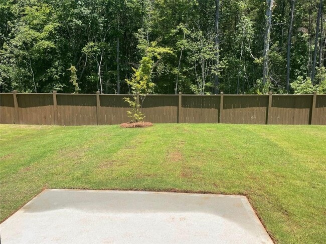 667 Summerwood Ln in Dawsonville, GA - Building Photo - Building Photo