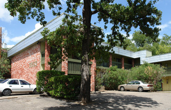 Peterson Apartments in Austin, TX - Building Photo - Building Photo