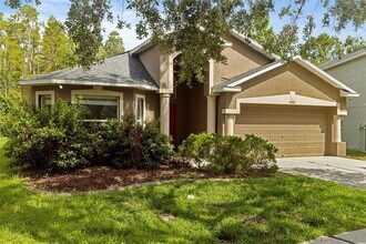 10462 Lucaya Dr in Tampa, FL - Building Photo - Building Photo