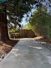 2994 Roundhill Rd in Alamo, CA - Building Photo - Building Photo