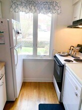 12 Webster Ct in Amherst, MA - Building Photo - Building Photo