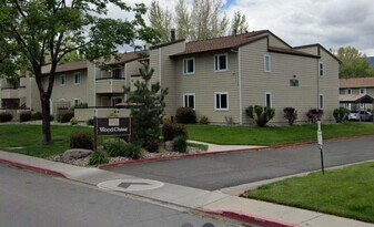 555 E Patriot Blvd in Reno, NV - Building Photo
