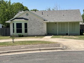 305 Hickok Ct in Austin, TX - Building Photo