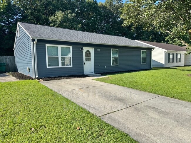 property at 520 Michael Irvin Dr