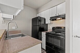 Pecan Tree in Dallas, TX - Building Photo