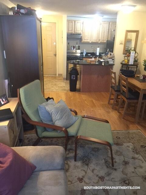 385 Dorchester St, Unit A10 in Boston, MA - Foto de edificio - Building Photo