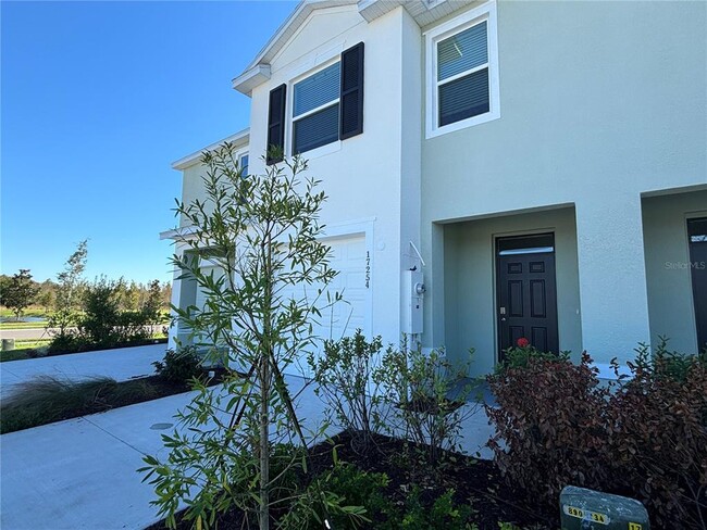 17254 Ashe Juniper Ln in Land O Lakes, FL - Foto de edificio - Building Photo