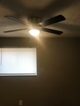 Pinetree Village, LLC in Columbus, OH - Building Photo - Building Photo