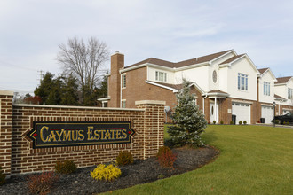 Caymus Estates Apartments in Aliquippa, PA - Building Photo - Building Photo