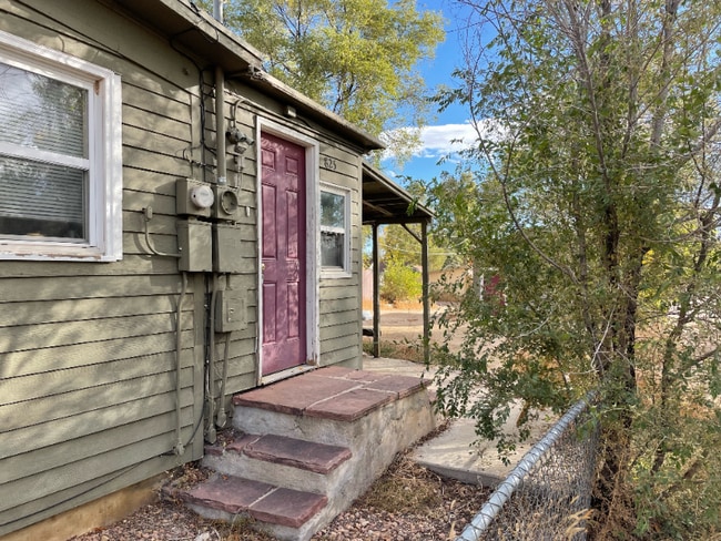 825 S Logan Ave in Colorado Springs, CO - Building Photo - Building Photo
