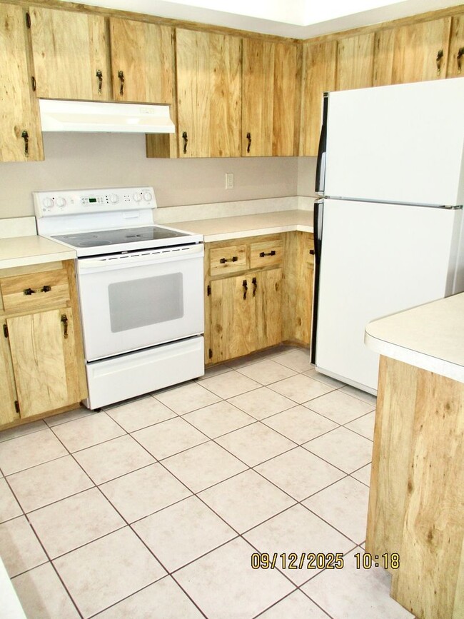20 Butternut Cir in Ormond Beach, FL - Building Photo - Building Photo