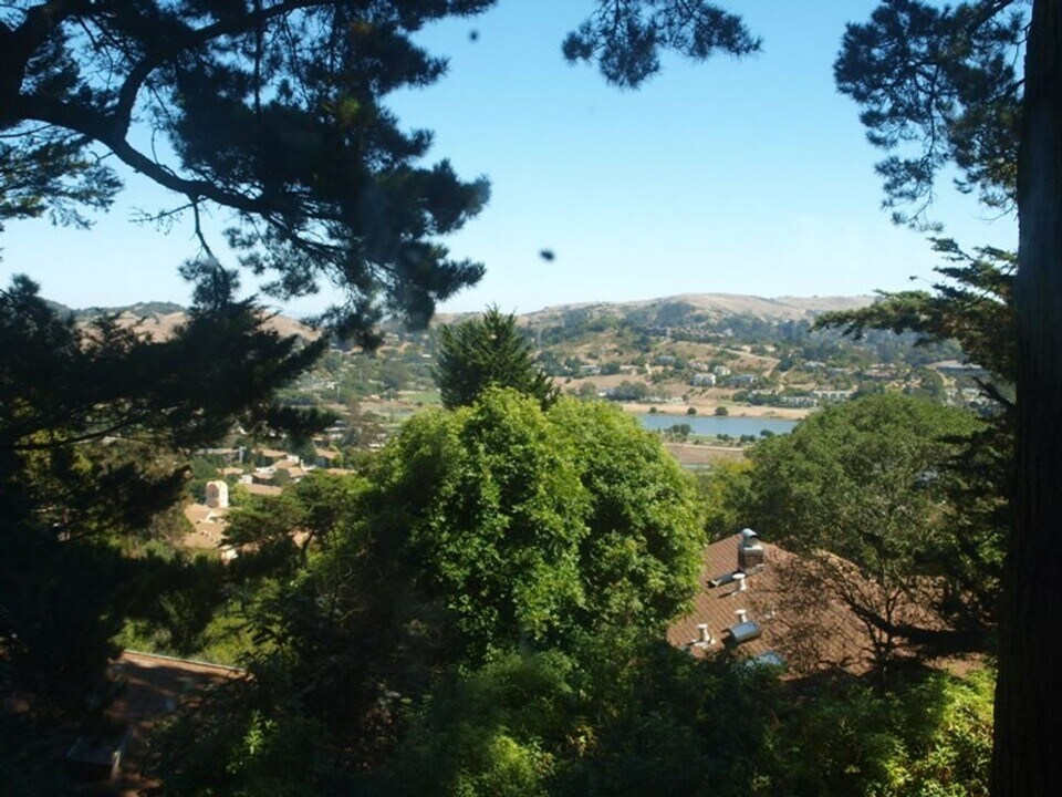 87 California Ave in Mill Valley, CA - Building Photo