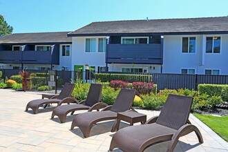 The Meridian in Walnut Creek, CA - Building Photo - Building Photo