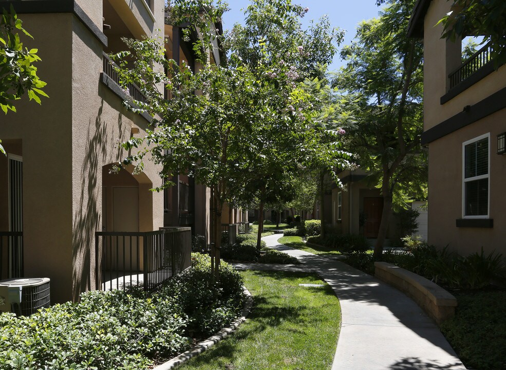 Sonoma at Mapleton Apartments in Murrieta, CA - Building Photo