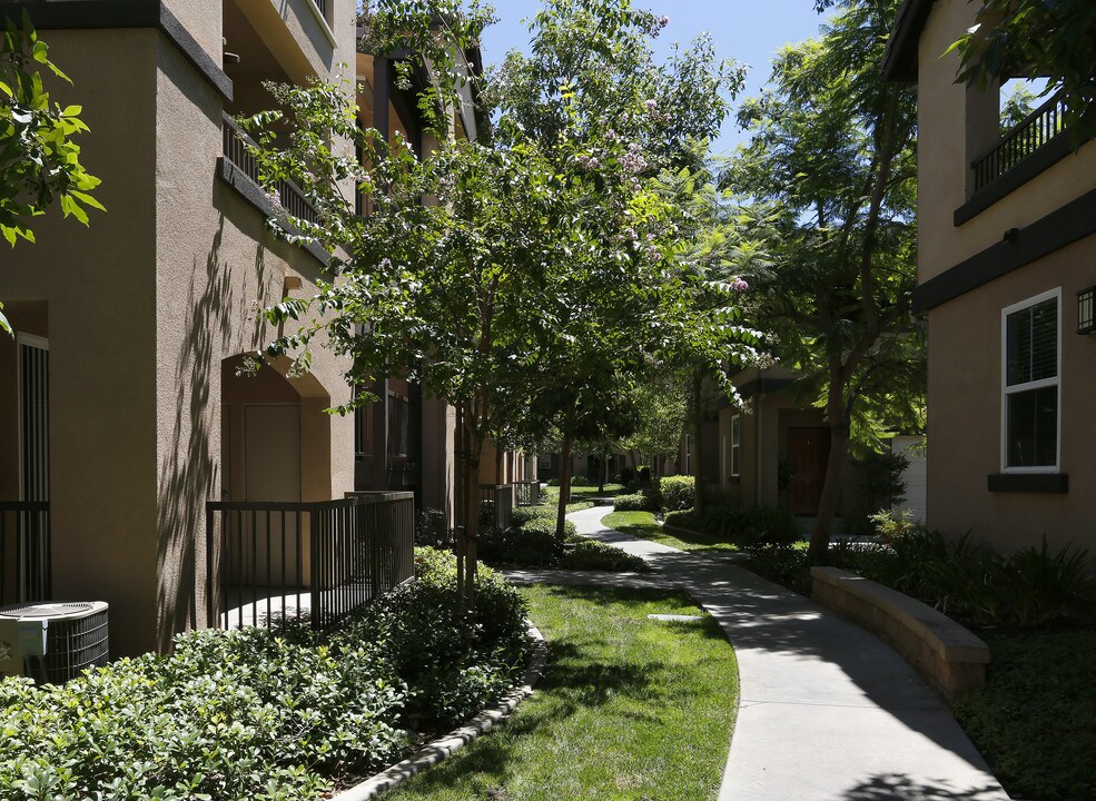 Sonoma at Mapleton Apartments in Murrieta, CA - Foto de edificio