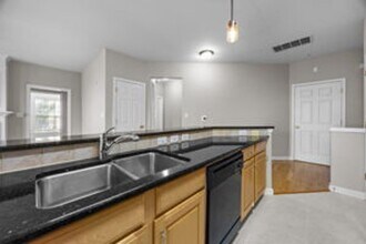 14359 San Paolo Ln in Charlotte, NC - Building Photo - Building Photo