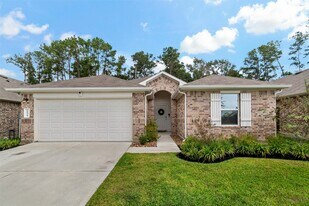 21521 Starry Night Dr in New Caney, TX - Building Photo