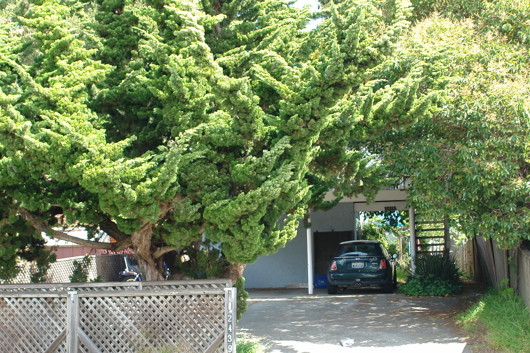 2439 Jefferson Ave in Berkeley, CA - Foto de edificio