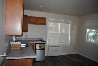 525 Sprague Ave in Kalamazoo, MI - Building Photo - Building Photo