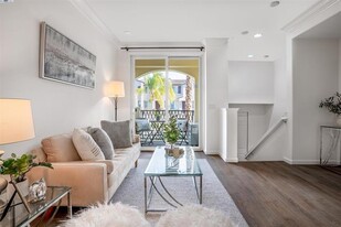 791 Parc Ln in Milpitas, CA - Building Photo
