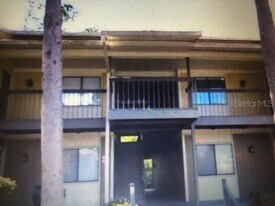 13289 Arbor Pointe Cir in Tampa, FL - Building Photo