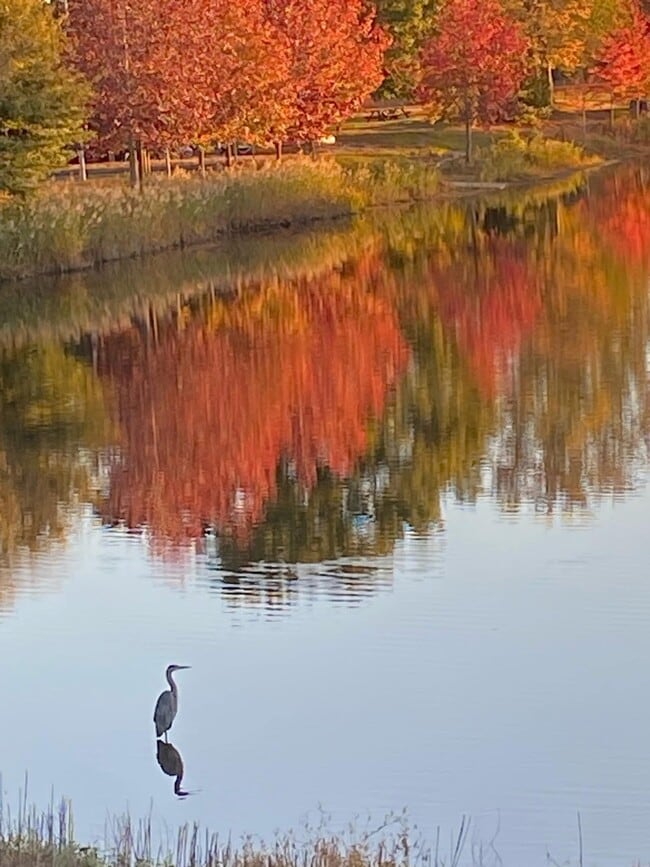 76 Sweetfern Ct in Evesham, NJ - Building Photo - Building Photo