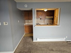 111 S Elder Ln in Decatur, IL - Building Photo - Building Photo