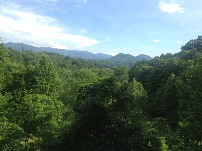 property at 41 Blevins Knob Dr