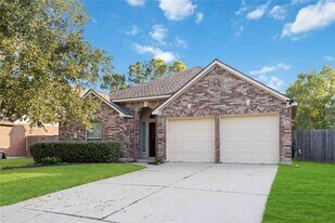 15018 Summer Knoll Ln in Houston, TX - Building Photo