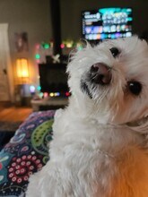 120 W 10th St in Loveland, CO - Building Photo - Building Photo