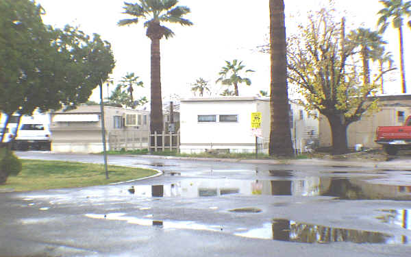 Pony Acres Mobile Home Park in Tempe, AZ - Building Photo - Building Photo